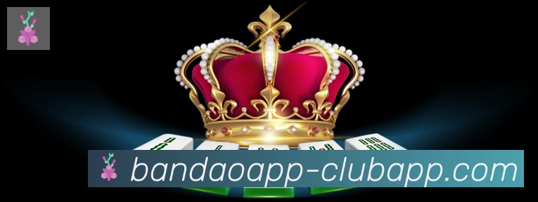 半岛体育app荣誉
